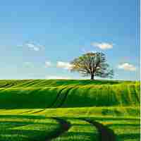 用﻿户‍体​验‌设‌计‍流​程‌图﻿